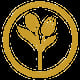 Turmeric Thai Garden